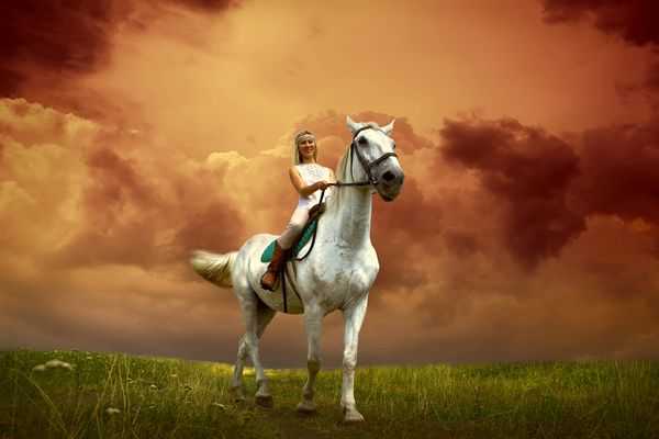 اسب سوار جوان سوار بر اسب سفید نمای بیرون از خانه