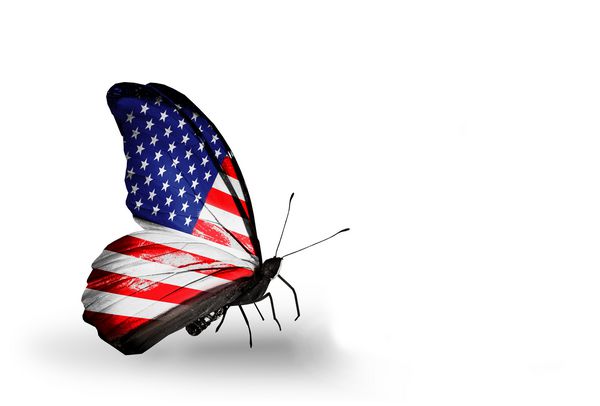 دو پروانه با پرچم ایالات متحده و اسرائیل