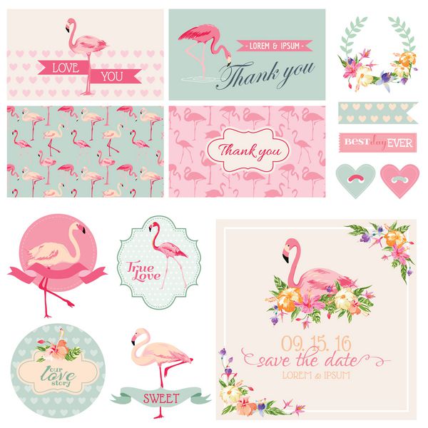 مجموعه مهمانی Flamingo برای عروسی دوش عروس