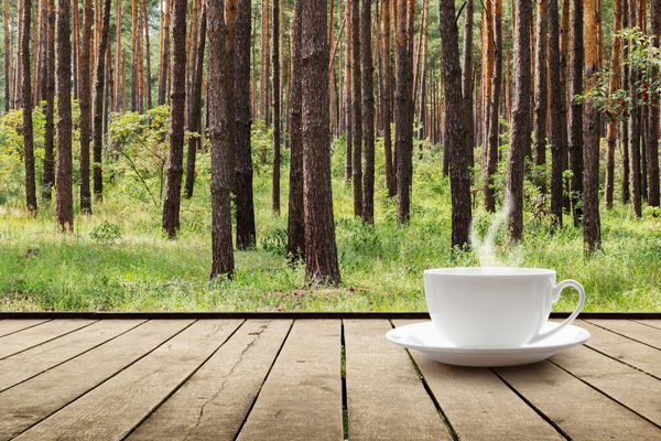  عکس فنجان قهوه در طبیعت