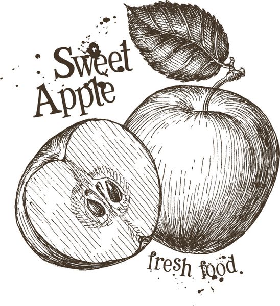 الگوی طراحی آرم وکتور سیب میوه تازه غذا یا پخت و پز