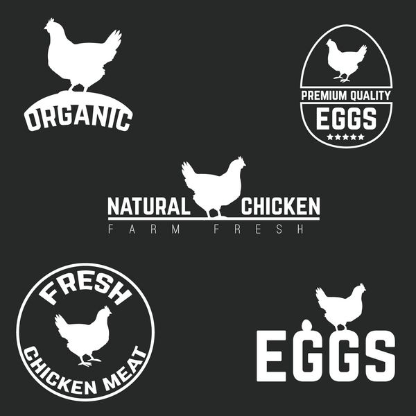 نماد آرم مرغ و تخم مرغ را تنظیم کنید مزرعه تازه طبیعی