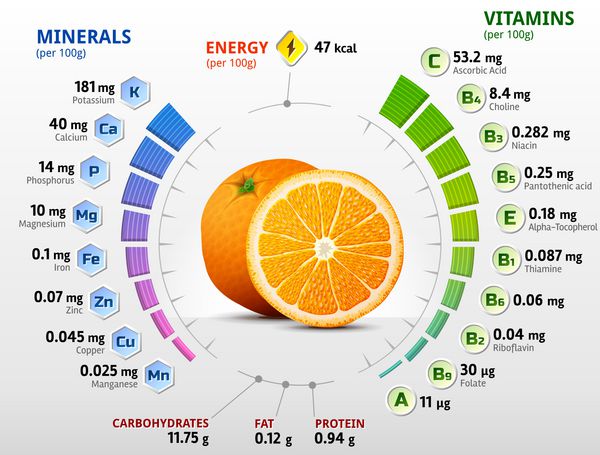 ویتامین ها و مواد معدنی میوه پرتقال حقایق تغذیه ای نارنجی