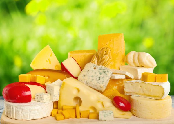 پنیر لبنیات تنوع