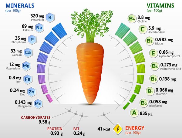 ویتامین ها و مواد معدنی غده هویج حقایق تغذیه هویج