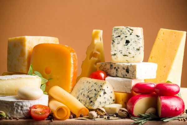 پنیر لذیذ لبنیات