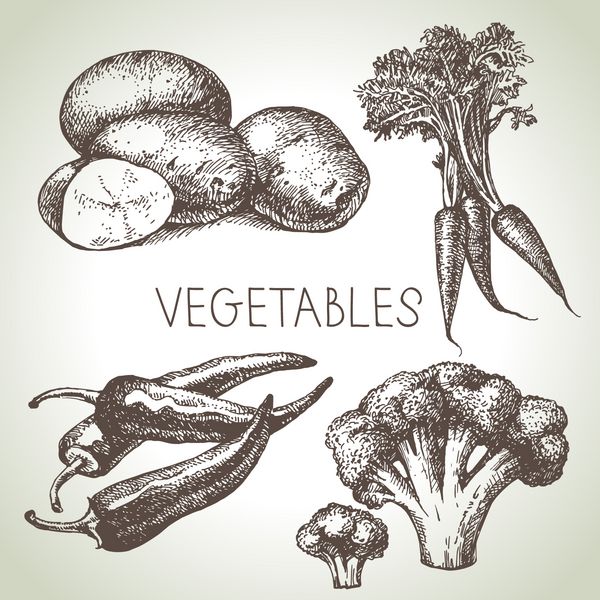 مجموعه سبزیجات طرح کشیده شده با دست مواد غذایی سازگار با محیط زیست