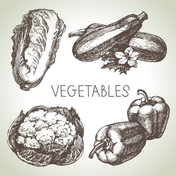 مجموعه سبزیجات طرح کشیده شده با دست مواد غذایی سازگار با محیط زیست