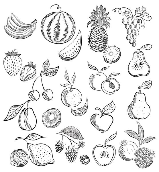 از میوه و انواع توت ها تنظیم کنید رسم طرح نقاشی