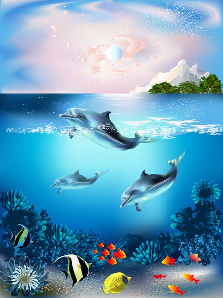 دنیای زیر آب با دلفین ها و گیاهان