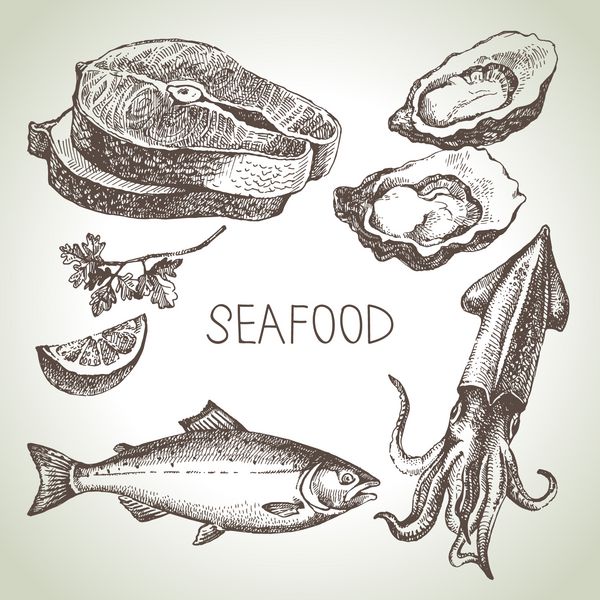 مجموعه طرح های دستی غذاهای دریایی تصویر برداری