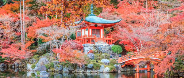 مرخصی رنگ قرمز را در معبد ژاپن تغییر می دهد