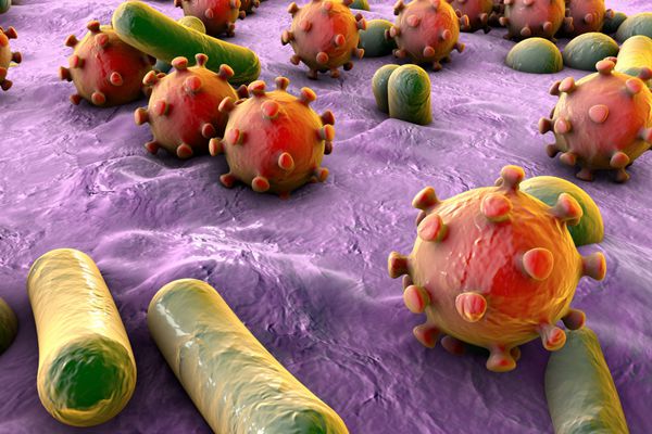 باکتریها و ویروسهای موجود در سطح پوست غشای مخاطی یا روده مدل MERS HIV آنفولانزا اشرشیا کولی سالمونلا کلبسیلا لژیونلا مایکوباکتریوم توبرکلوزیس مدل میکروبها