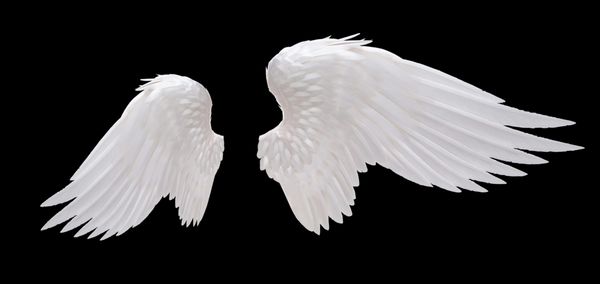 بال فرشته سفید جدا شده است