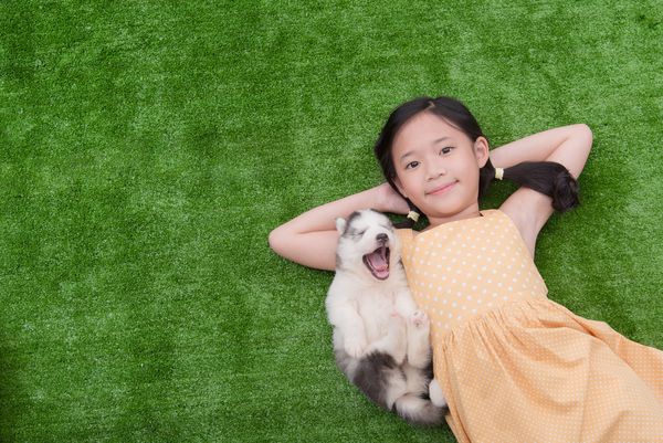 دختر ناز آسیایی که با توله سگ خود دراز کشیده است
