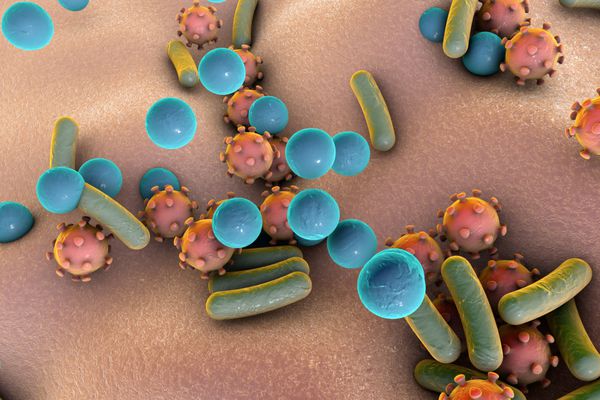 باکتریها و ویروسهای موجود در سطح پوست یا غشای مخاطی مدل MERS HIV ویروس آنفلوانزا استافیلوکوکوس اورئوس مدل میکروبها میکروبهایی با اشکال مختلف