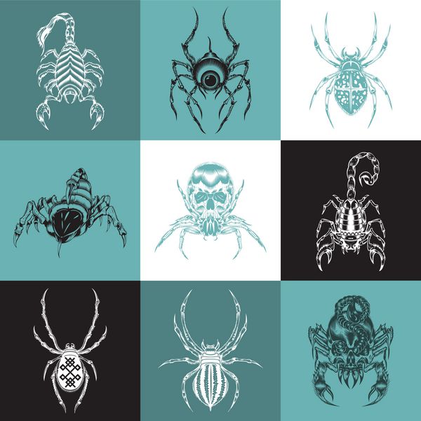 مجموعه برچسب ها با تصویر arachnids