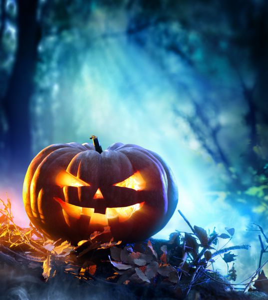 کدو تنبل هالووین در یک جنگل شبح وار شب صحنه ترسناک