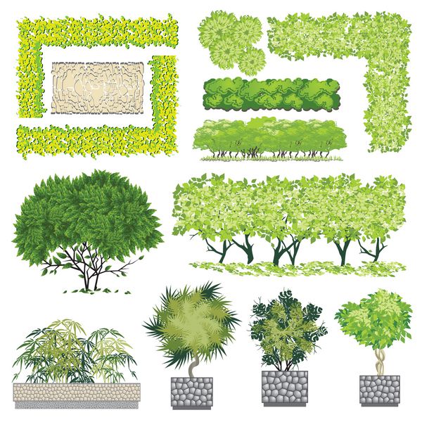 درختان و آیتم بوش برای طراحی منظره نماد وکتور