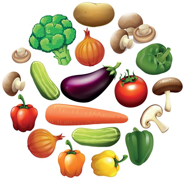 انواع مختلف سبزیجات