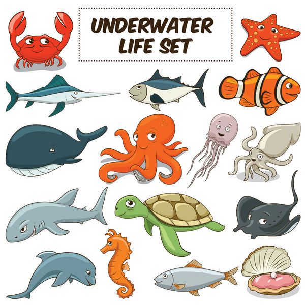کارتون حیوانات زیر آب بردار تنظیم شده است