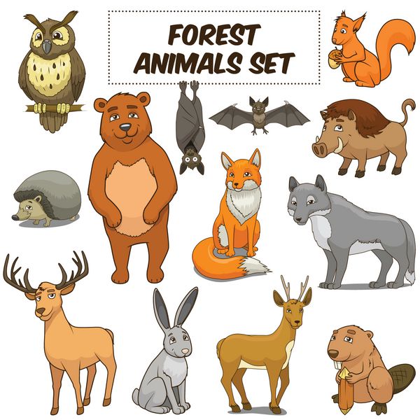 حیوانات جنگلی کارتونی بردار تعیین می کنند