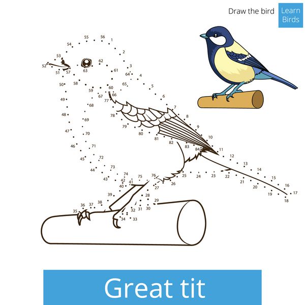 پرنده تیتان بزرگ یادگیری وکتور را می آموزد