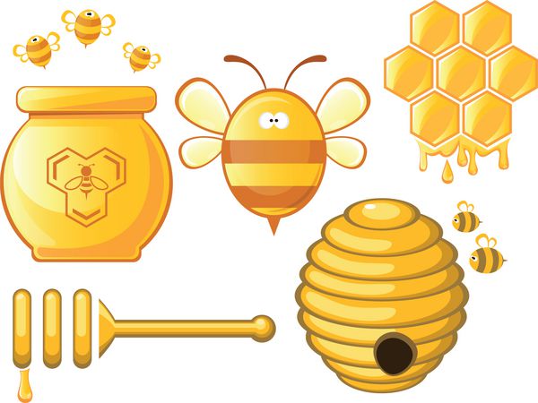 زنبور و زنبور عسل