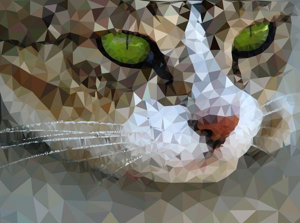 گربه پولی کم با چشم های سبز الگوی مثلثی واقع بینانه