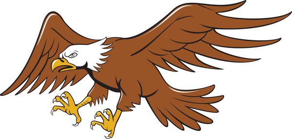 کارتون ساق پا عقاب آمریکایی طاس عقاب
