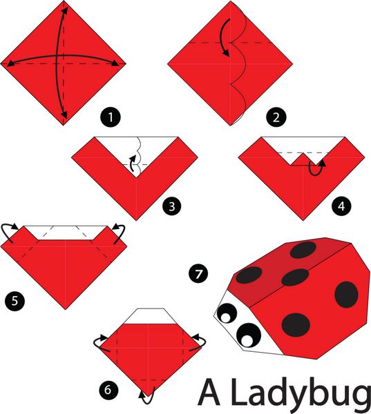 دستورالعمل های گام به گام نحوه ساخت اریگامی A Ladybug