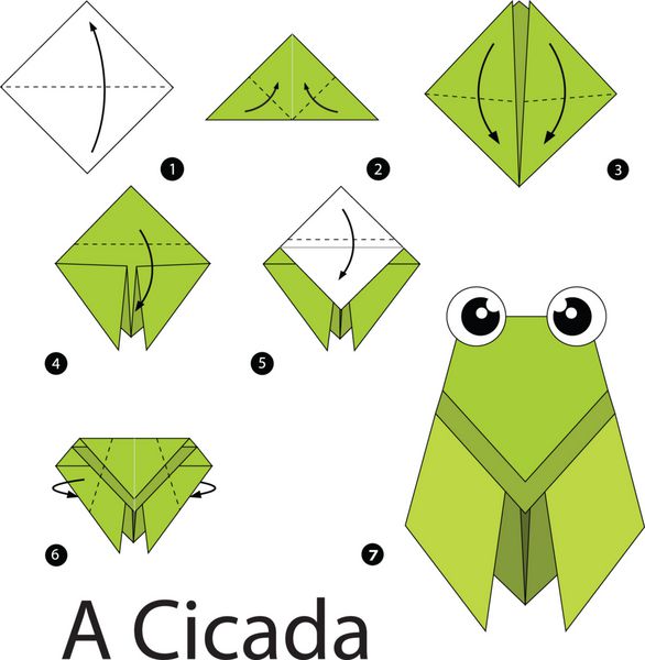 دستورالعمل گام به گام نحوه ساخت اریگامی A Cicada