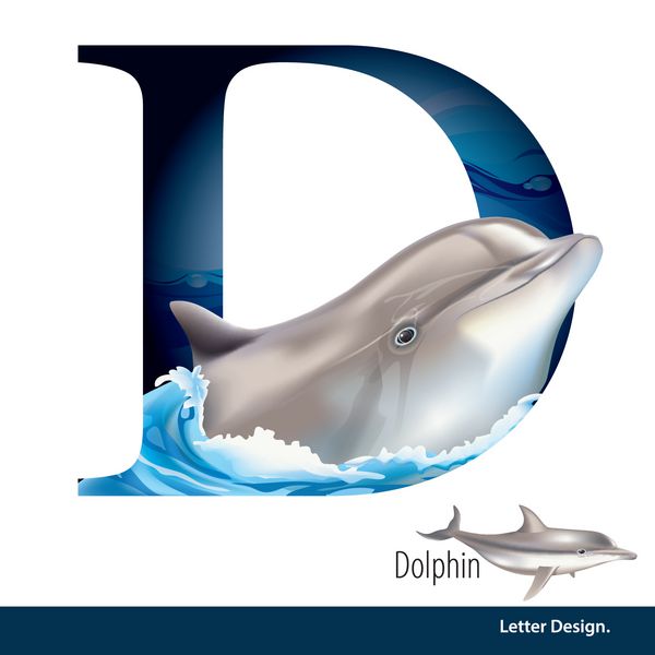 تصویر برداری نامه D برای الفبای دلفین انگلیسی