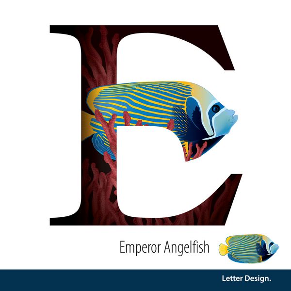 تصویر برداری نامه E برای امپراتور Angelfish با مرجان