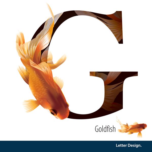 تصویر برداری Letter G برای الفبای Goldfish انگلیسی