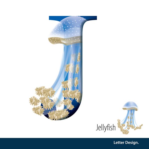 تصویر برداری نامه J برای الفبای Jellyfish انگلیسی