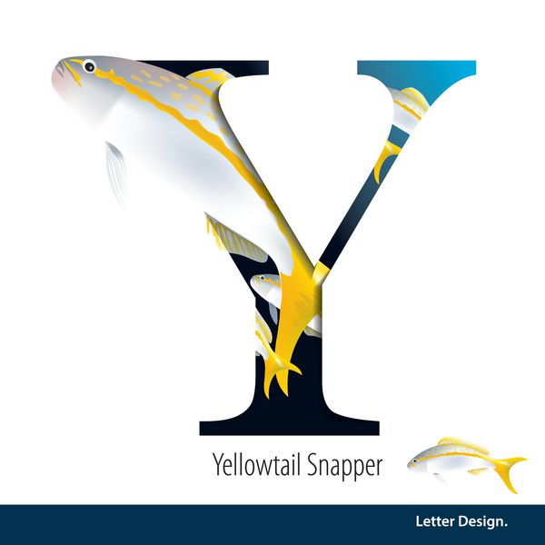 تصویر برداری Letter Y با الفبای Yellowtail Snapper است