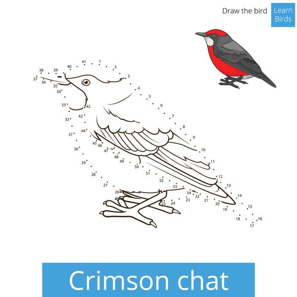 پرنده چت Crimson یادگیری نقاشی بردار