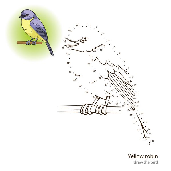 پرنده رابین زرد یاد می گیرد وکتور را ترسیم کند