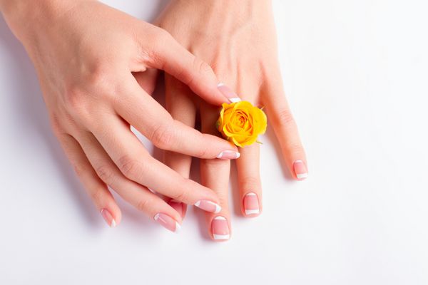 دستهای مانیکور شده با گل رز زرد