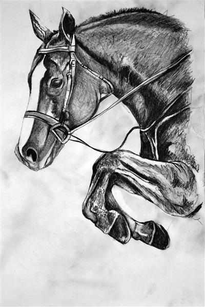 اسب زیبا پسر پادشاه زیباترین اسب دنیا نجیب با احساس حس خوب دل انگیز طراحی حیوانات  طراحی اسب