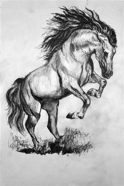 جالب  زیبا اسب زیبا نجیب  بسیار زیبا قدرتمند پابرجا حیوان نجیب باوفا  حس خوب باهوش طراحی حیوانات طراحی اسب طراحی مداد