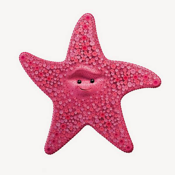 ستاره دریایی نیمو نمو دوری در جستجوی