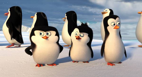 پنگوئن های کوچک کارتونی طرح پوستر