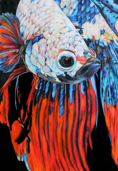 ماهی سفید و قرمز زیبا تابلو نقاشی مداد رنگی