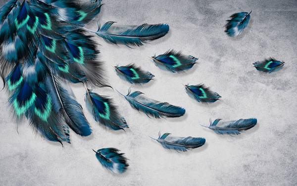 پر های آبی طاووس پوستر دیواری سه بعدی