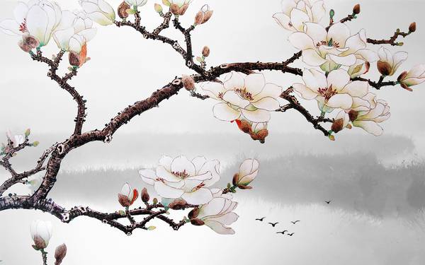 شکوفه های سفید شاخه درخت پوستر دیواری سه بعدی