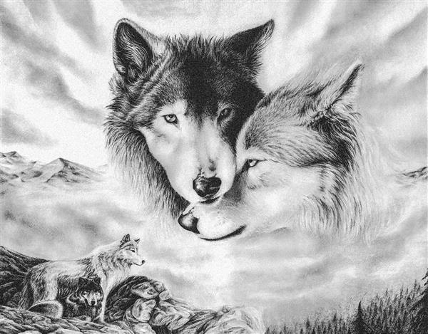 گرگ ها طرح سیاه و سفید
