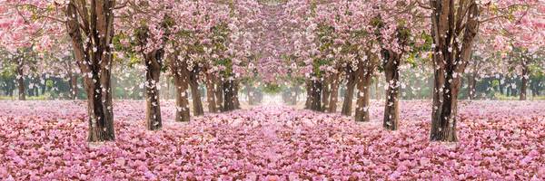 شکوفه های در حال ریختن جنگل پوستر دیواری