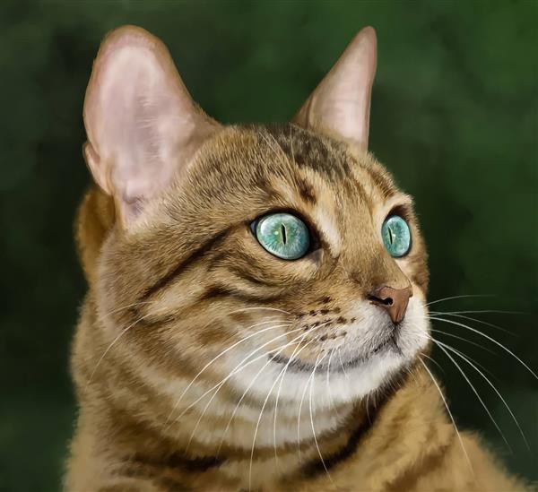 گربه زیبا چشم سبز در جنگل نقاشی دیجیتال